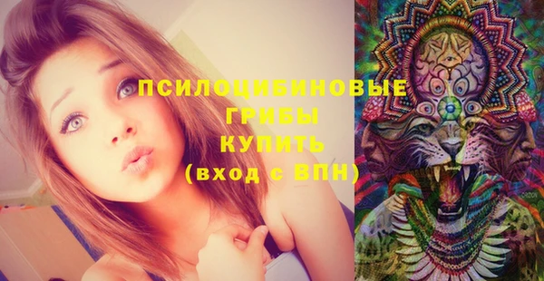 PSILOCYBIN Алзамай