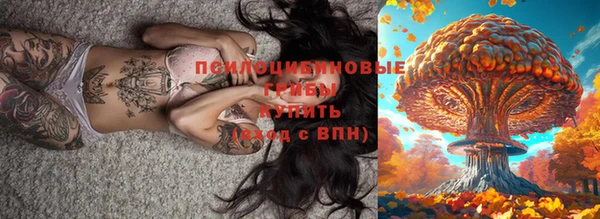 PSILOCYBIN Алзамай