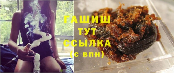 PSILOCYBIN Алзамай