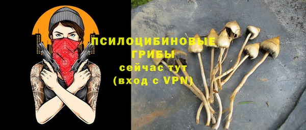 PSILOCYBIN Алзамай