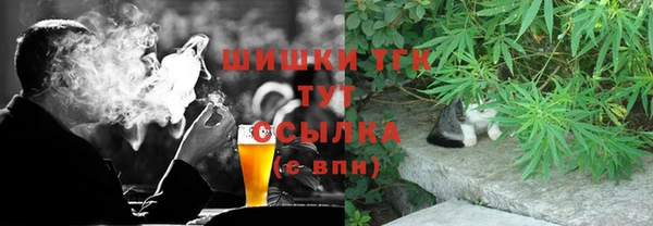 PSILOCYBIN Алзамай